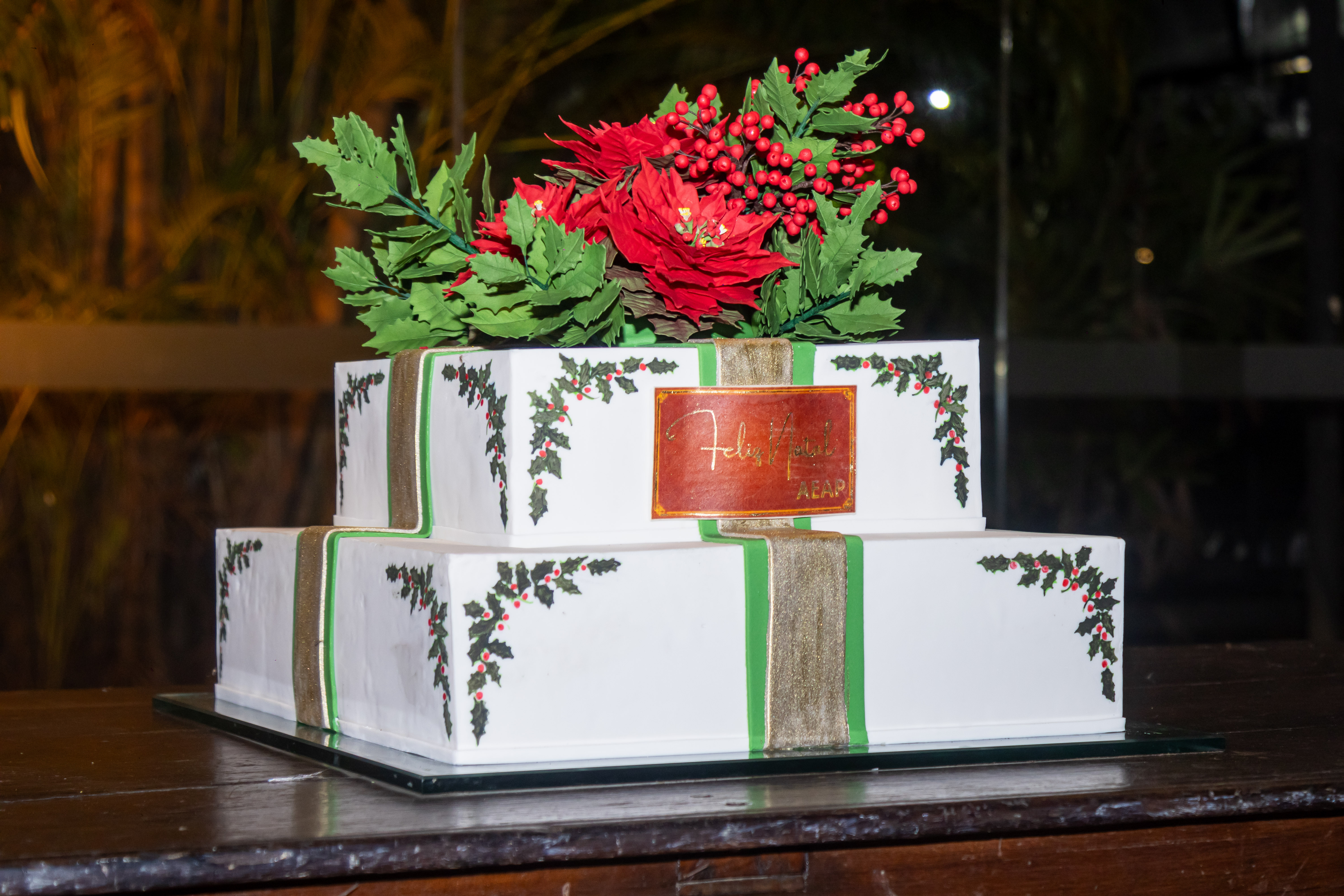 Confraternização Natalina AEAP-PE